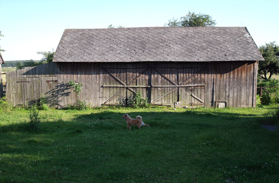 niuniek