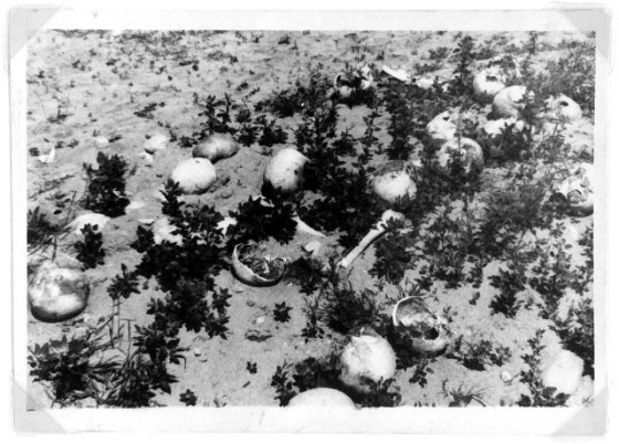 treblinka2